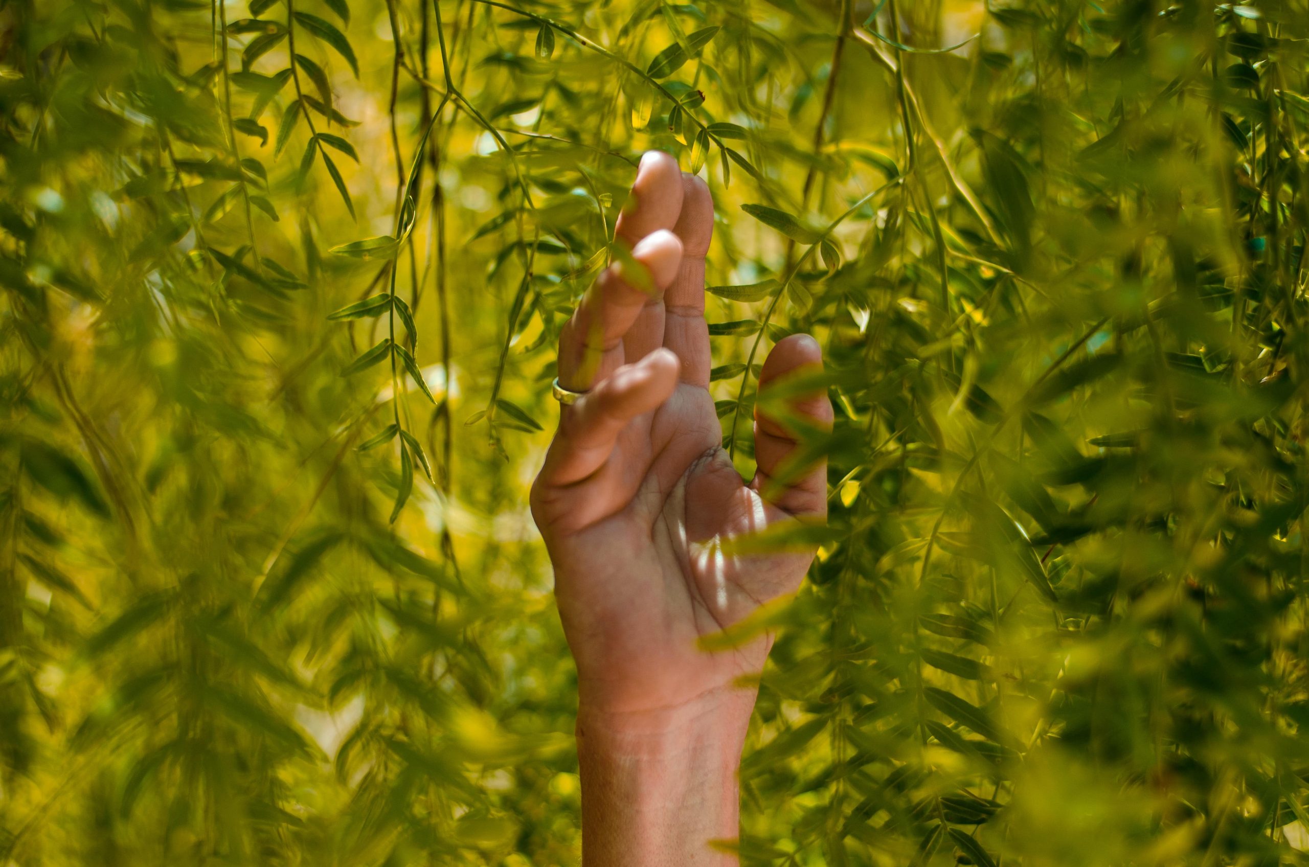 Nachhaltiges Marketing-Pflanzen-Hand